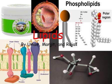 Lipids By Umair, Manjit, and Rajat.  Lipids are a biological macromolecule composed of hydrogen, carbon and oxygen atoms  However the ratio of oxygen.