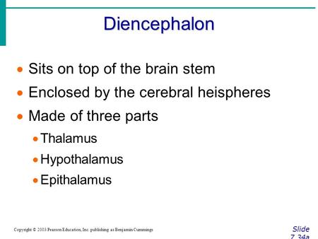 Diencephalon Slide 7.34a Copyright © 2003 Pearson Education, Inc. publishing as Benjamin Cummings  Sits on top of the brain stem  Enclosed by the cerebral.