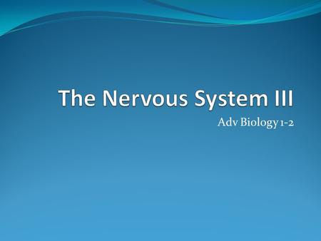 The Nervous System III Adv Biology 1-2.