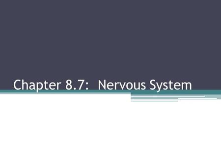 Chapter 8.7: Nervous System. Limbic System Establishes emotion and behavior Links conscious with autonomic Long-term memory storage and retrieval Makes.