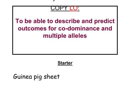 Monday 7th November COPY LO: To be able to describe and predict outcomes for co-dominance and multiple alleles Starter Guinea pig sheet.