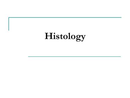 Histology. Chapter Overview 4.1 Human Tissue Classifications 4.2 Epithelial Tissue 4.3 Connective Tissue 4.5 Muscular Tissue 4.6 Nervous Tissue 4.7 Tissue.
