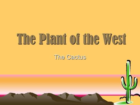 The Plant of the West The Cactus. Cactus The Cactus plant is believed to be native to the Americas. There have been calculated to be between 1,500 to.