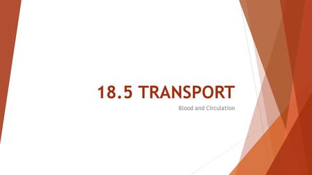 18.5 TRANSPORT Blood and Circulation. Mammalian Transport system  The transport system in humans is typical of all mammals. Materials are transported.