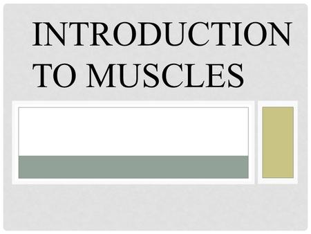 INTRODUCTION TO MUSCLES