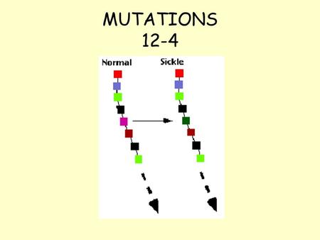 MUTATIONS 12-4. _______________ are changes in the genetic material. MUTATIONS mistakes REMEMBER! Mutations can happen when cells make _____________ in.