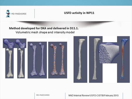 USFD activity in WP11 NND Internal Review/USFD-CISTIB/February 2015 Method developed for DXA and delivered in D11.1. Volumetric mesh shape and intensity.
