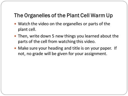 The Organelles of the Plant Cell Warm Up Watch the video on the organelles or parts of the plant cell. Then, write down 5 new things you learned about.