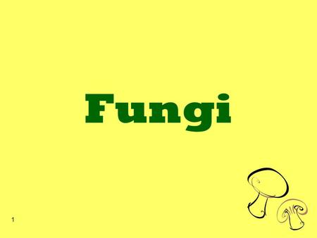 1 Fungi. 2 General Characteristics of Fungi Range in size from unicellular to being the largest known living organism