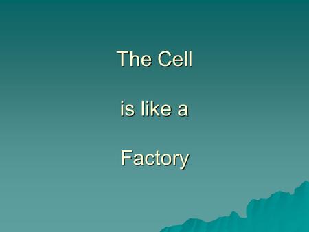 The Cell is like a Factory