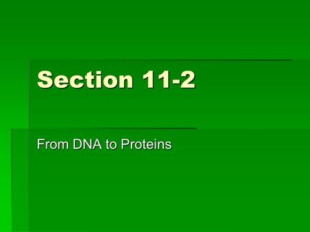 Section 11-2 From DNA to Proteins.  Enzymes control all the chemical reactions of an organism  Thus, by encoding the instructions form making proteins,