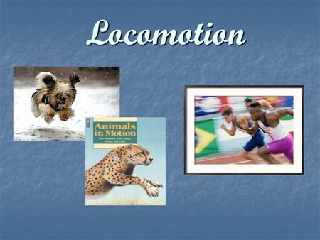 Locomotion. Locomotion: The act or power of moving from place to place.