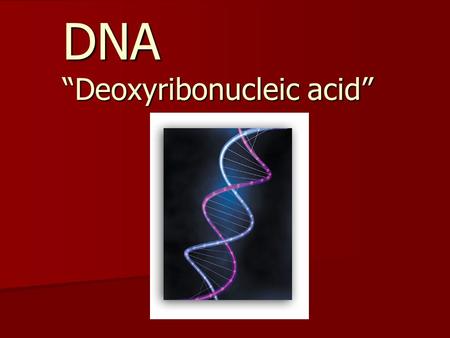 DNA “Deoxyribonucleic acid”
