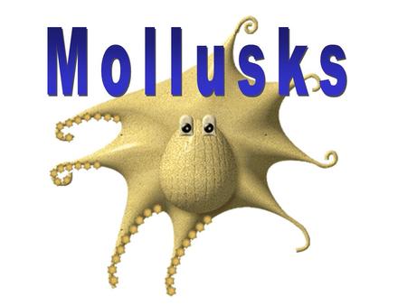 Mollusks.