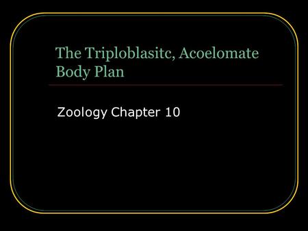 The Triploblasitc, Acoelomate Body Plan