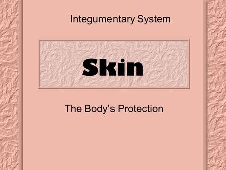 Skin The Body’s Protection Integumentary System. Skin: Two principle layers Epidermis Dermis.