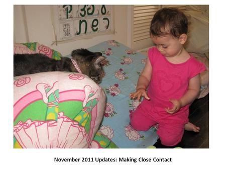 November 2011 Updates: Making Close Contact. Alma helps with the whole process of doing the laundry and gets help from her trusty assistant.