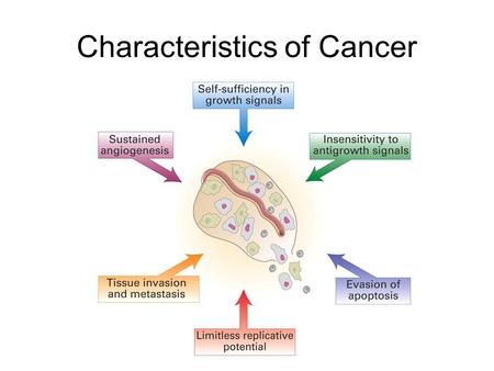 Characteristics of Cancer. Promotion (reversible) Initiation (irreversible) malignant metastases More mutations Progression (irreversible)