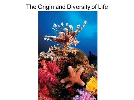 The Origin and Diversity of Life. Biodiversity ~1.5 Million species identified Many more remain to be identified.