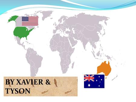 BY XAVIER & TYSON. Historical background to the relationship Australia is Americas closest ally in the Asia-Pacific region Australia is the second most.