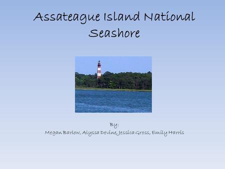 Assateague Island National Seashore By: Megan Barlow, Alyssa Devine, Jessica Gross, Emily Harris.
