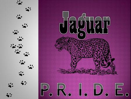 School pride is the act of supporting JFMS students, staff, community, and campus. While this is an extremely abstract concept, there are concrete ways.