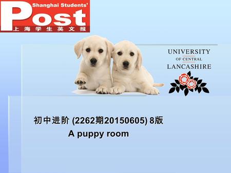 初中进阶 (2262 期 20150605) 8 版 A puppy room. Pre-reading 1.The final exam is around the corner. Are you worried about it? How do you usually deal with stress?