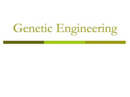 Genetic Engineering Genetic Engineering Then  Agriculture – Study of Heredity Picking the best plants and using those seeds.  Animal Breeding Artificial.