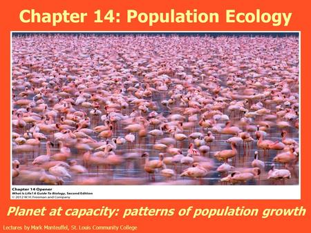 Chapter 14: Population Ecology Planet at capacity: patterns of population growth Lectures by Mark Manteuffel, St. Louis Community College.