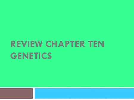 REVIEW CHAPTER TEN GENETICS. Number One Write down a genotype that would display the heterozygous trait.