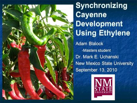 Synchronizing Cayenne Development Using Ethylene Adam Blalock -Masters student Dr. Mark E. Uchanski New Mexico State University September 13, 2010 Adam.