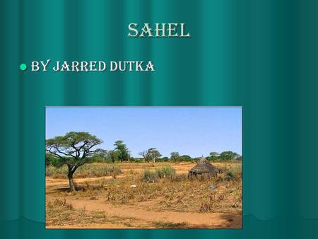 Sahel By Jarred Dutka By Jarred Dutka. Destruction to the Sahel Since the 1970’s the Sahel has lost more than 30% of its trees to be cut down for fire.