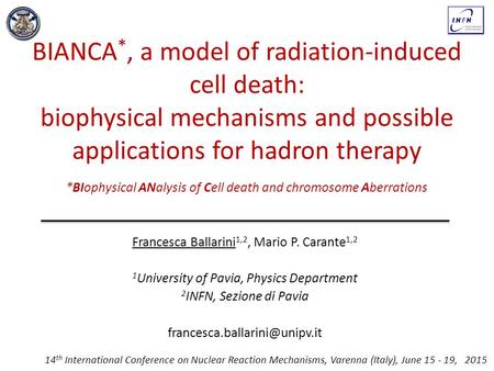 BIANCA *, a model of radiation-induced cell death: biophysical mechanisms and possible applications for hadron therapy *BIophysical ANalysis of Cell death.