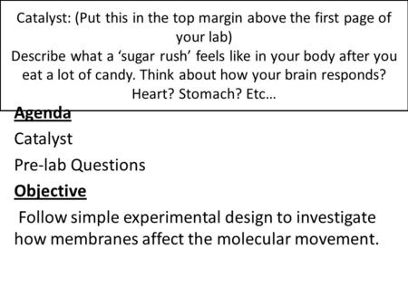 Catalyst: (Put this in the top margin above the first page of your lab) Describe what a ‘sugar rush’ feels like in your body after you eat a lot of candy.