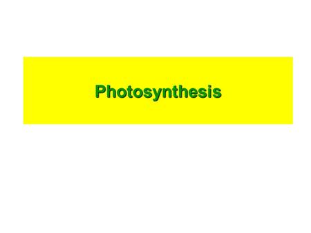 Photosynthesis. What is Photosynthesis? A process that converts light (solar) energy into stored (chemical) energy in the form of food molecules like.