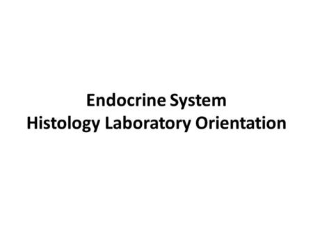 Endocrine System Histology Laboratory Orientation.
