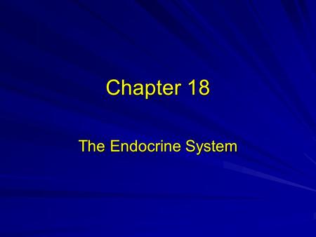 Chapter 18 The Endocrine System. Endocrine system glands.