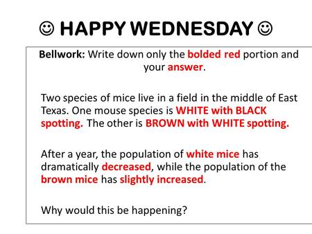 HAPPY WEDNESDAY Bellwork: Write down only the bolded red portion and your answer. Two species of mice live in a field in the middle of East Texas. One.