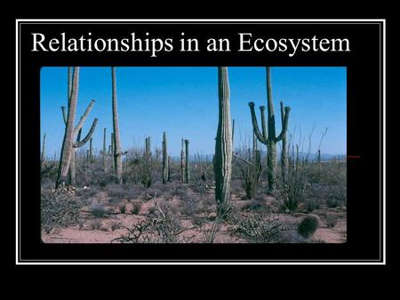 Relationships in an Ecosystem. Instructions: View this powerpoint on concepts and terms that will be useful to you in understanding relationships within.