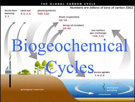 Biogeochemical Cycles. The movement of nutrients from the non- living world into living organisms, and then back again.