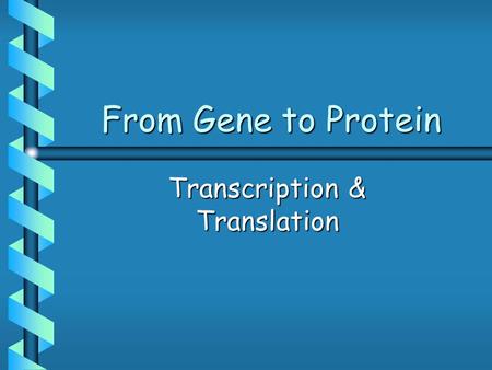 From Gene to Protein Transcription & Translation.