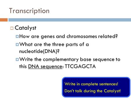Transcription Catalyst How are genes and chromosomes related?