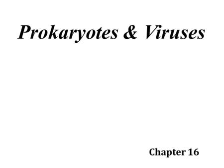 Prokaryotes & Viruses Chapter 16. Early Earth Earth is about 4.6 billion years old Fossils resembling photosynthetic prokaryotes have been found in dome.