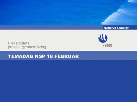 Hydro Oil & Energy TEMADAG NSP 18 FEBRUAR Fleksibilitet i prosjektgjennomføring.