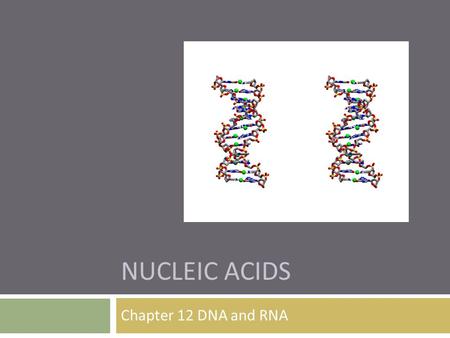 NUCLEIC ACIDS Chapter 12 DNA and RNA. Where did we find Genes and who discovered them?  In 1928 Frederick Griffith tried to figure out how bacteria made.