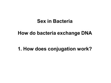 1. How does conjugation work? Sex in Bacteria How do bacteria exchange DNA.