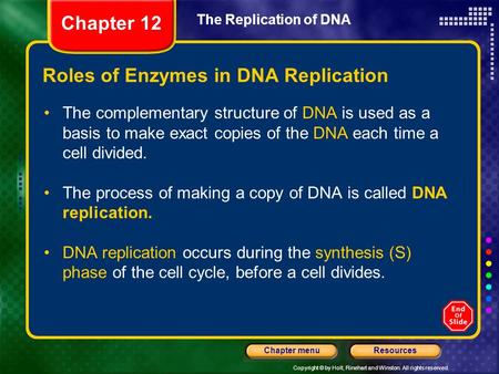 Roles of Enzymes in DNA Replication