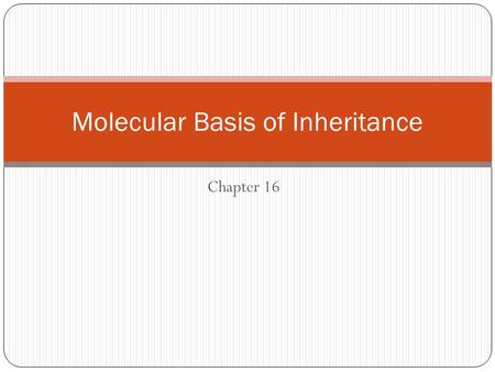 Chapter 16 Molecular Basis of Inheritance. Deciphering DNA.