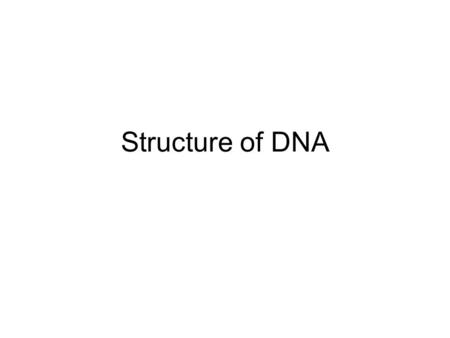 Structure of DNA. Nucleotides Know that DNA contained 4 different types of nucleotides Purines – 2 ring bases –Adenine –Guanine Pyrimidines – 1 ring base.