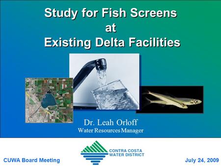 Study for Fish Screens at Existing Delta Facilities Dr. Leah Orloff Water Resources Manager CUWA Board MeetingJuly 24, 2009.